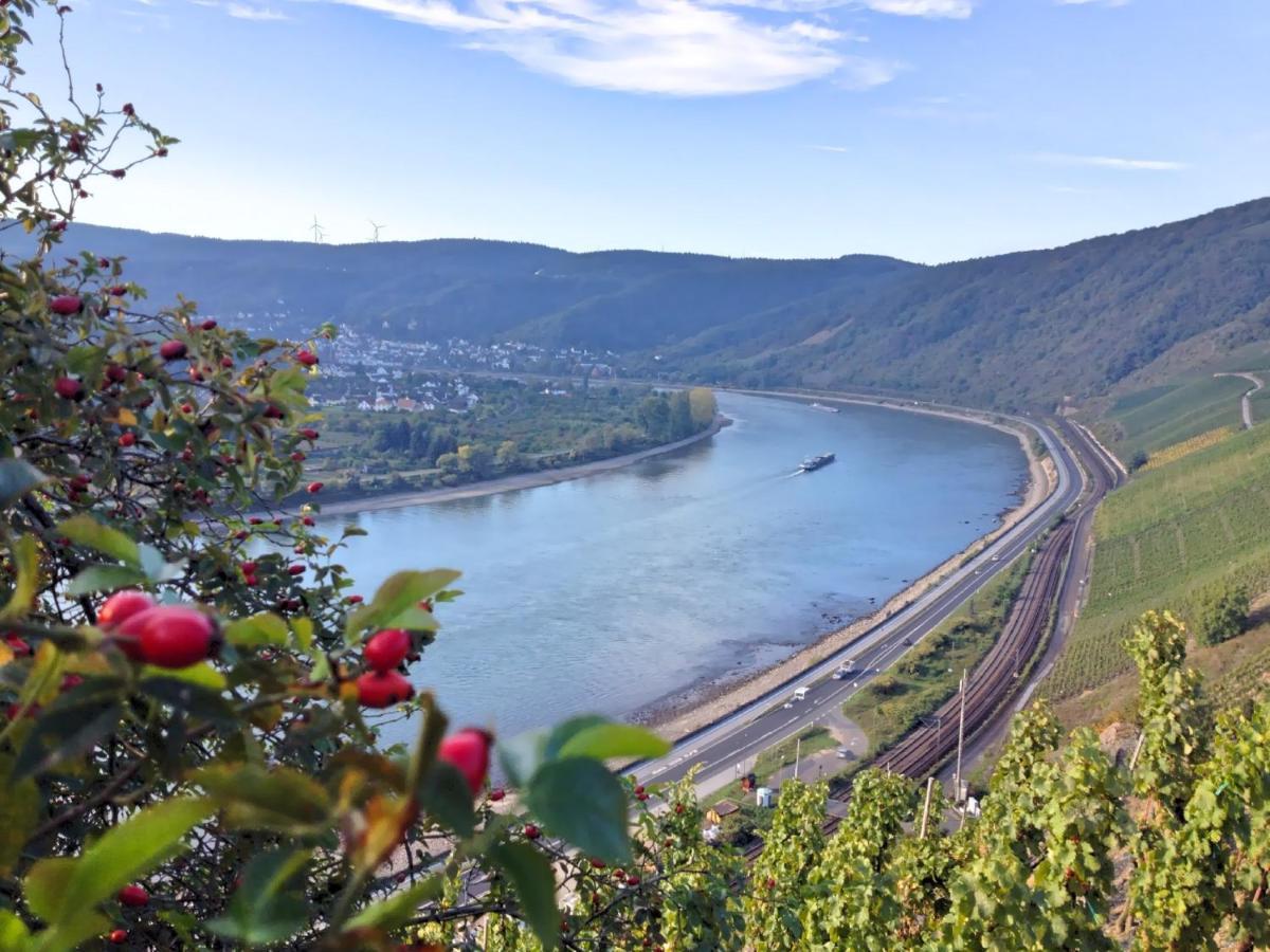 Hotel Rheinlust Boppard Rum bild